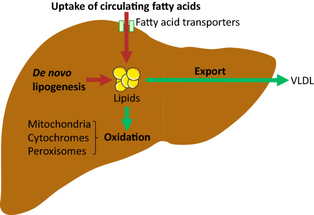 Fig. 1