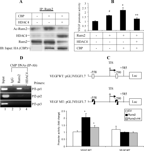 FIGURE 4.