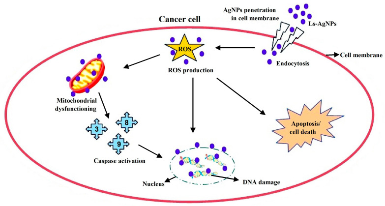 Figure 12