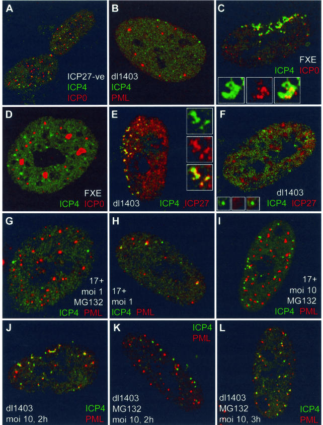 FIG.6.