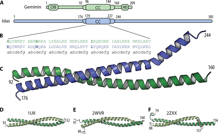 FIGURE 5.