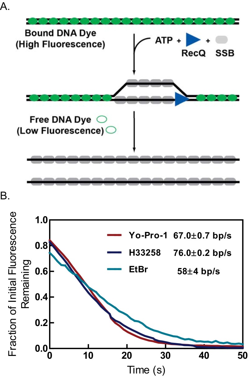 Fig. S6.