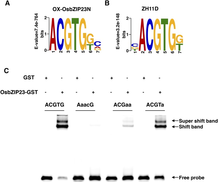 Figure 4.