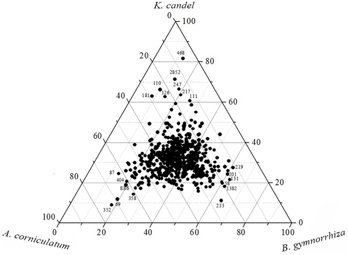 Fig 5