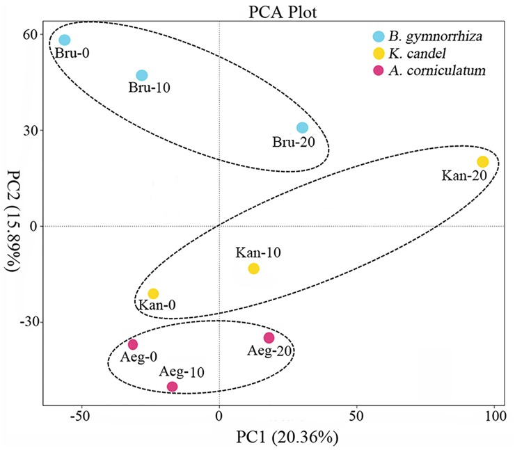 Fig 3