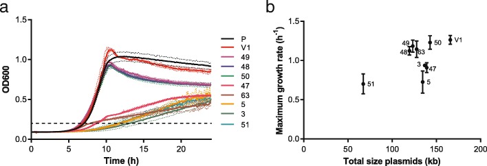 Fig. 6