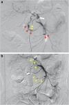 Fig. 2