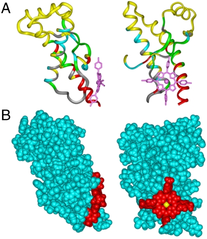 Fig. 3.