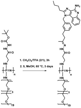 Scheme 2