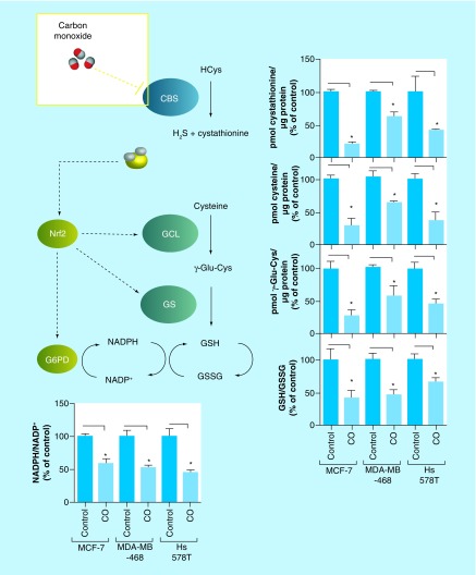 Figure 3. 