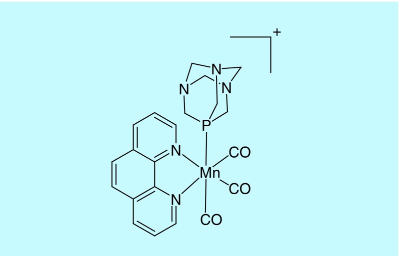 Figure 2. 