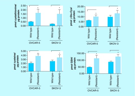 Figure 6. 