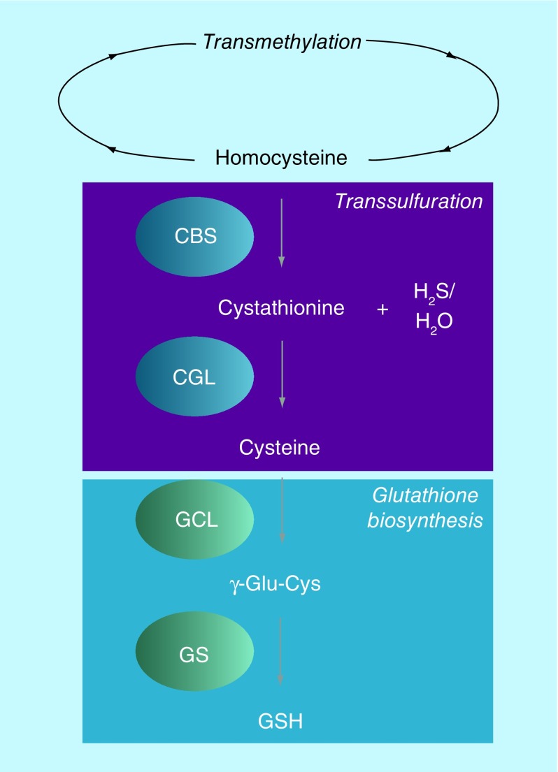 Figure 1. 