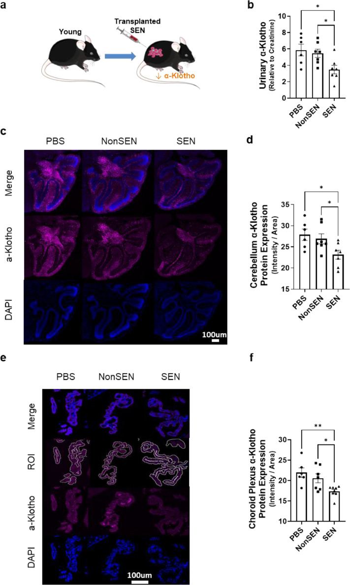 Figure2