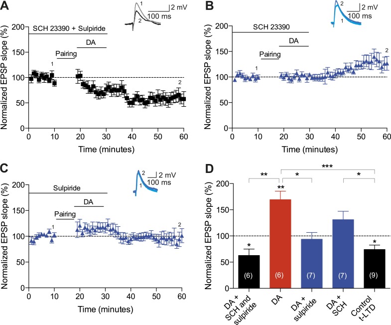 Figure 4—figure supplement 1.