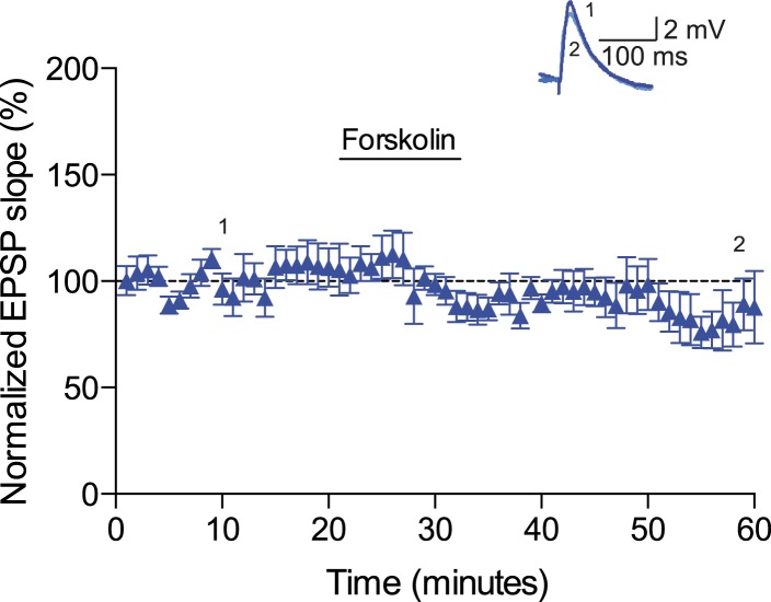 Figure 4—figure supplement 2.