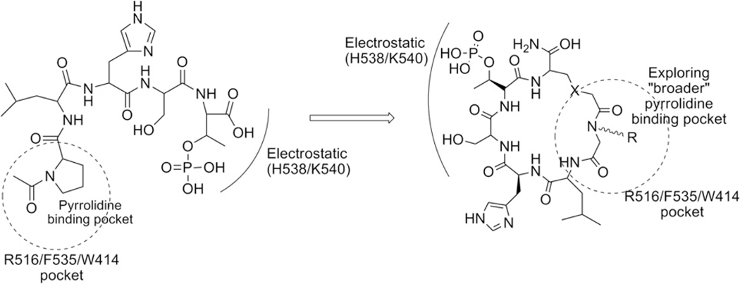 Scheme 1.