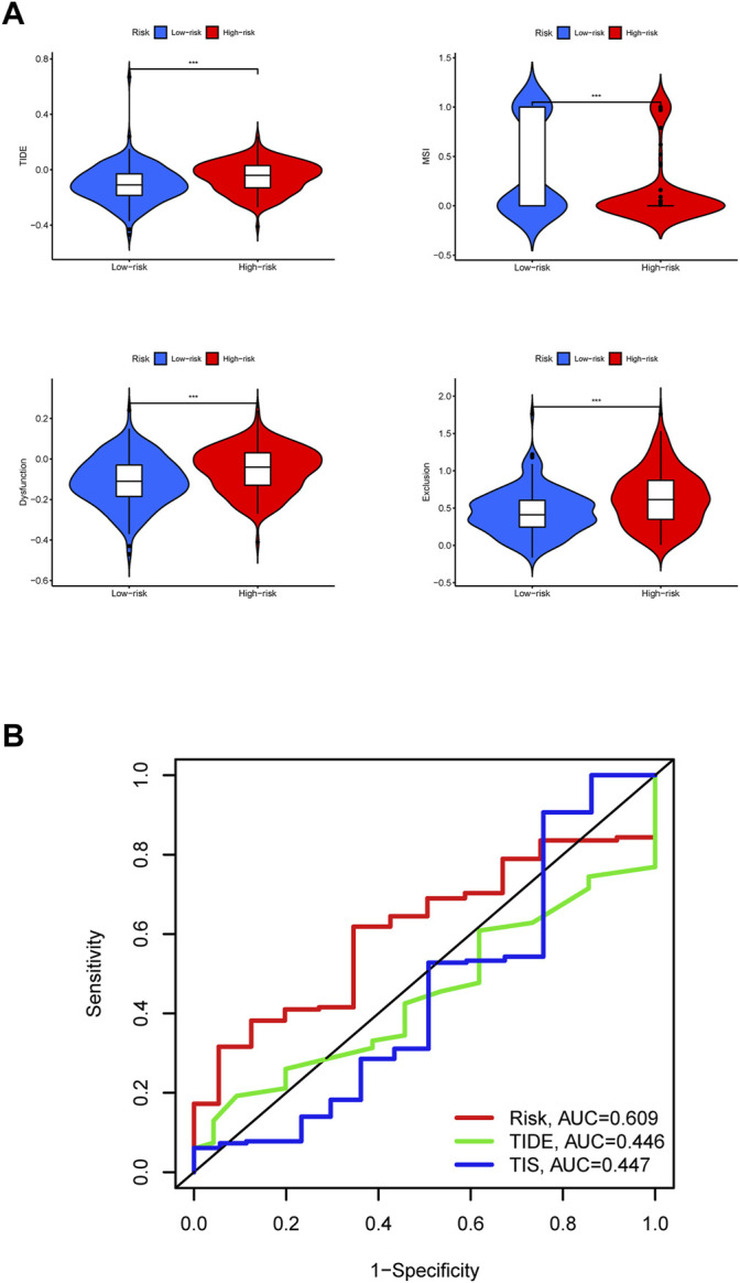 FIGURE 11