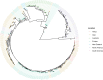 Fig 7