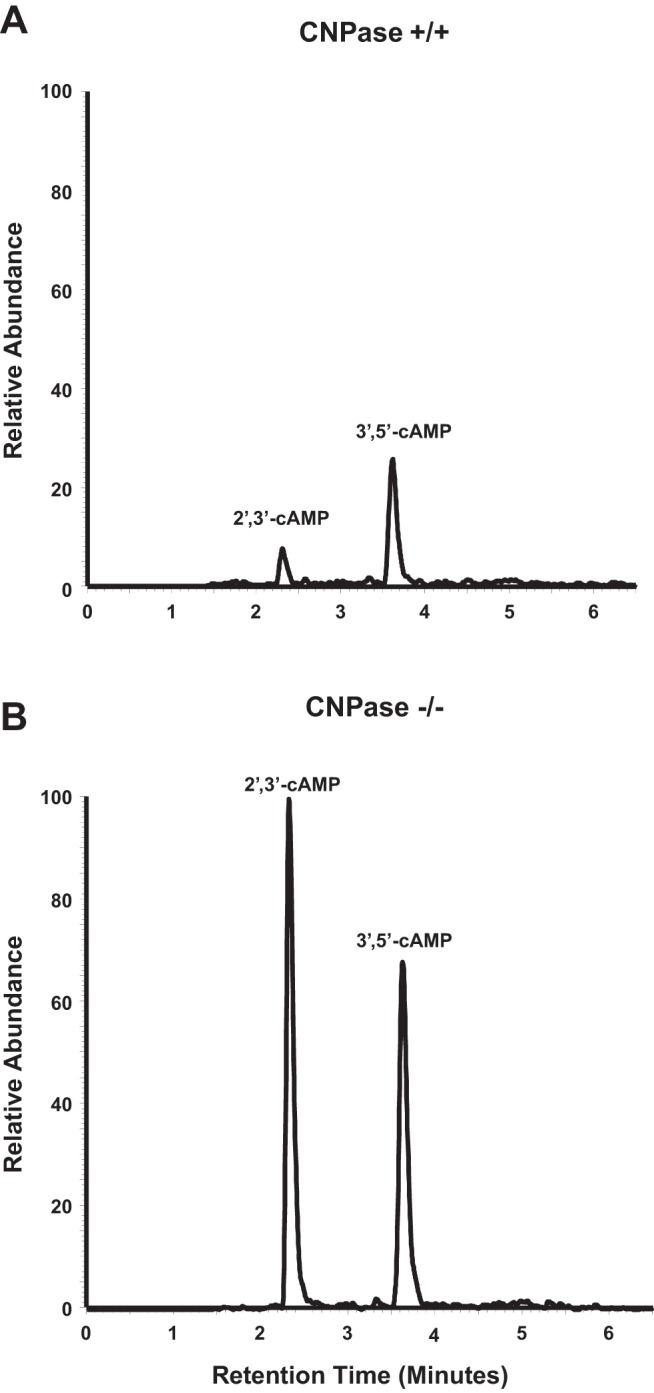 Fig. 10.