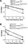Fig 5