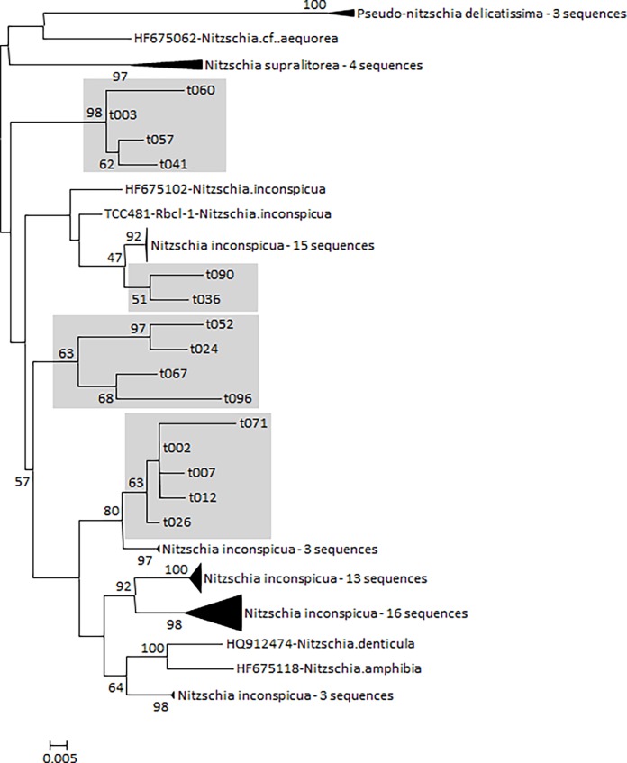 Fig 6