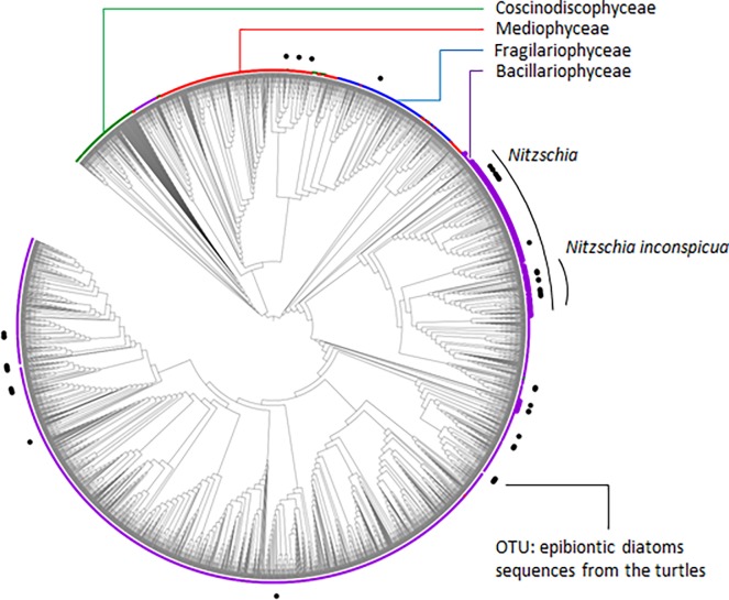 Fig 5