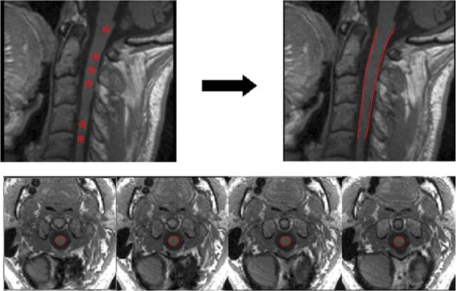 Fig 1.