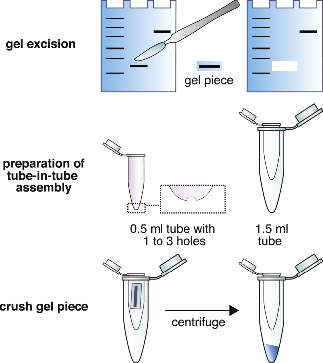 Figure 1