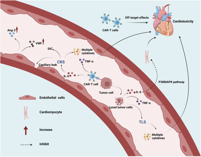 FIGURE 3