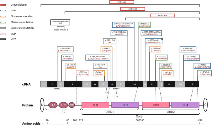 Fig. 3