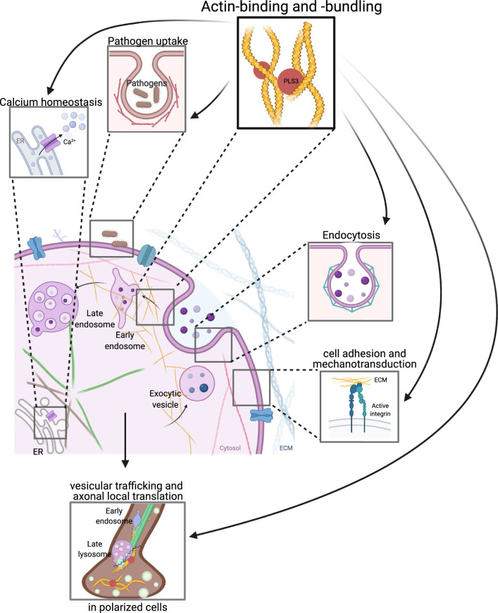 Fig. 2