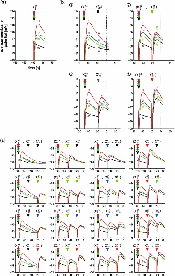 Fig. 2