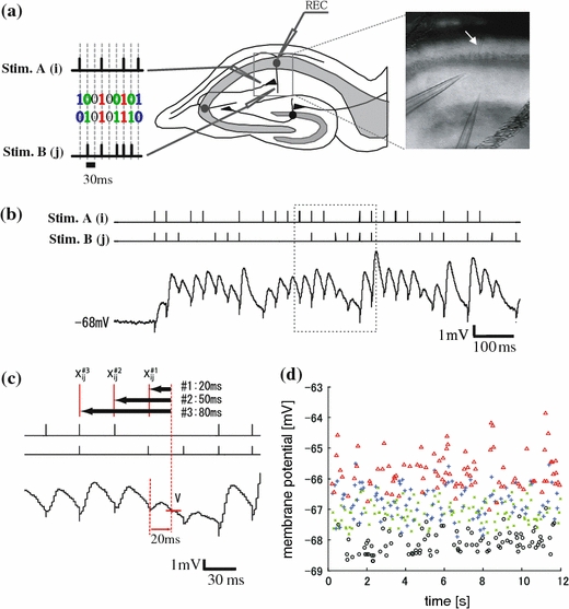 Fig. 1