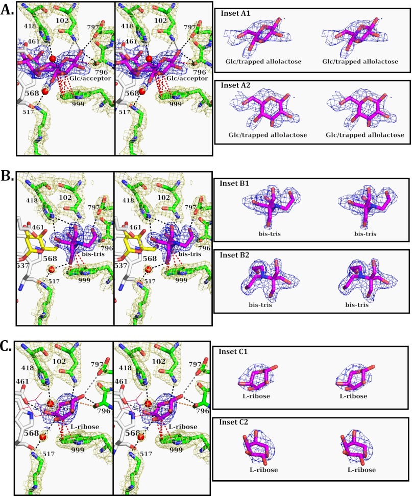 FIGURE 2.