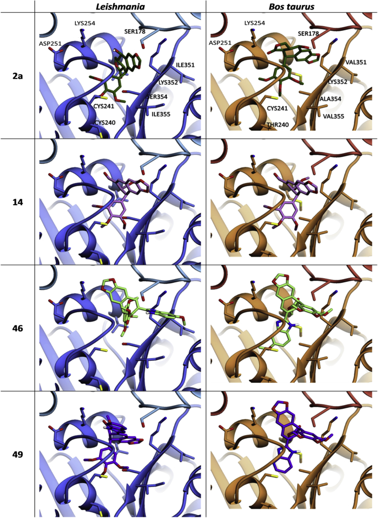 Fig. 3