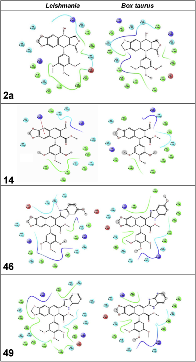 Fig. 4