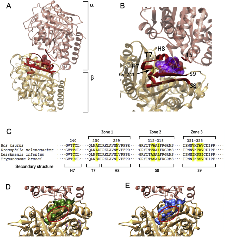 Fig. 2