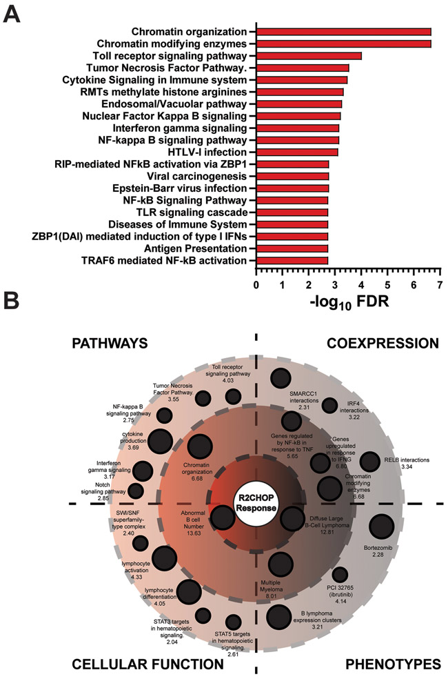 Figure 2: