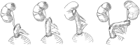 PICTURE 1