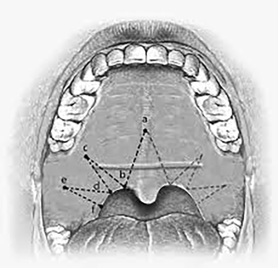 Fig. 3