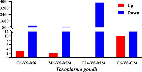 Fig. 1