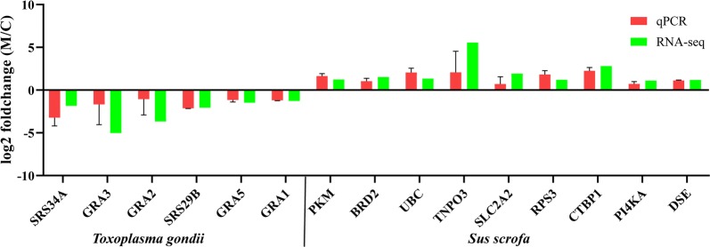 Fig. 3