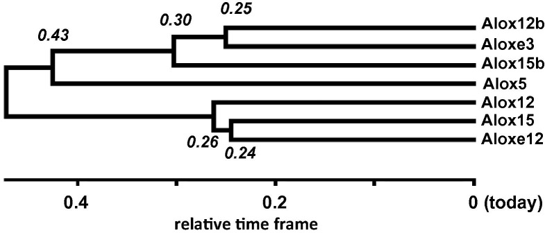 Fig. 7