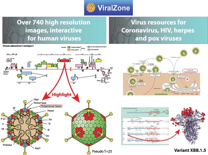 Graphical Abstract