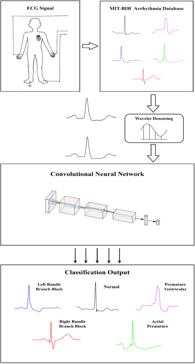 Graphical Abstract