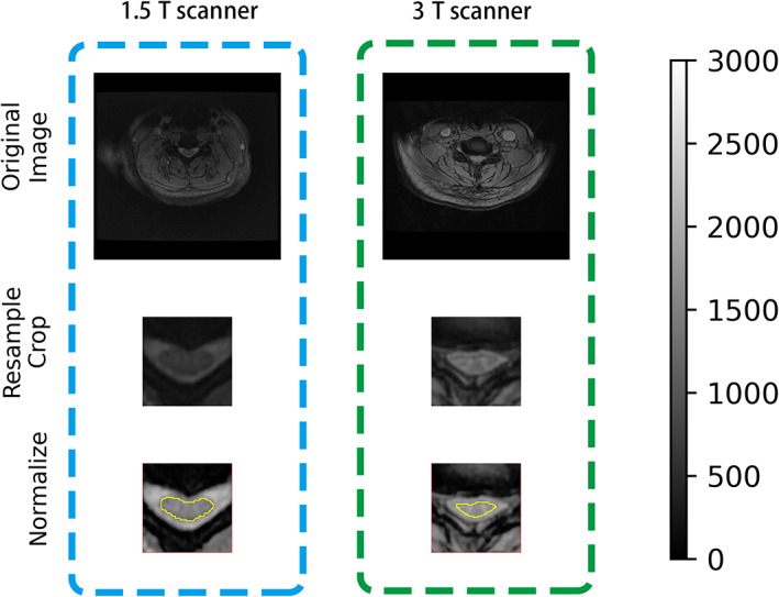 FIGURE 1