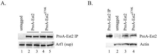 FIG. 5.