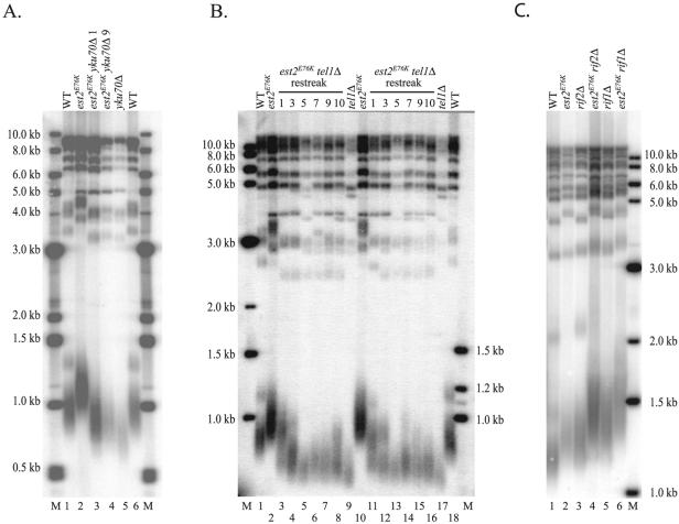 FIG. 7.