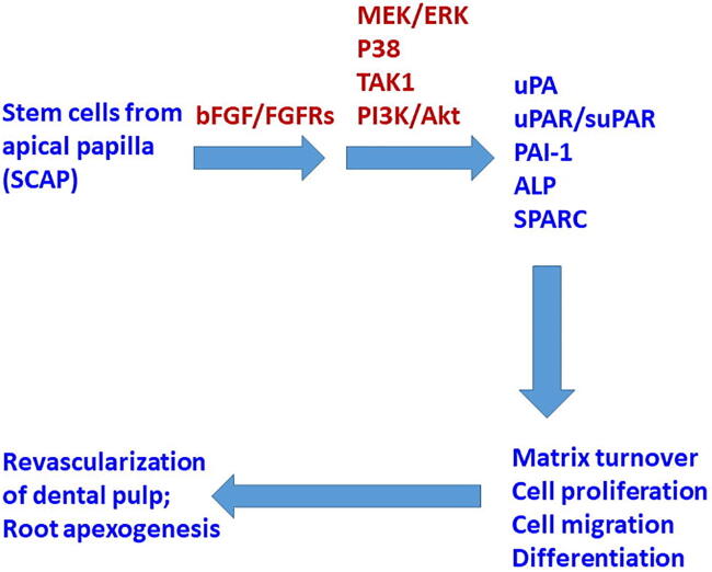 Fig. 10